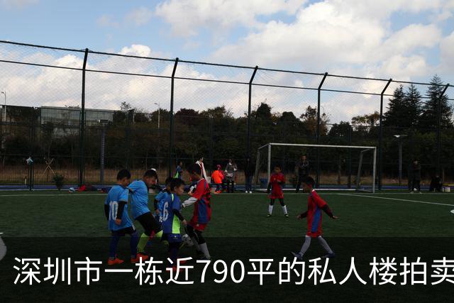 深圳市一栋近790平的私人楼拍卖，被人755万元拿下了